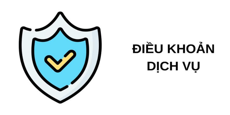 Tầm quan trọng của điều khoản dịch vụ Socolive